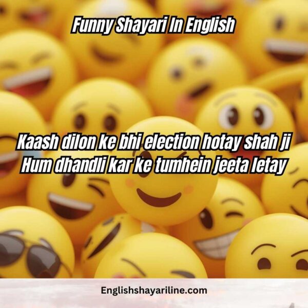 2 Line Funny Shayari in English