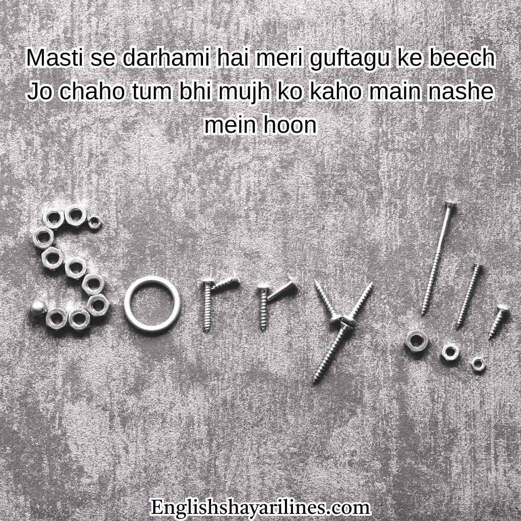 Feeling Sorry Shayari in Roman English Text