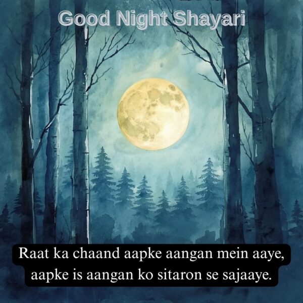 Best Good Night Shayari in English