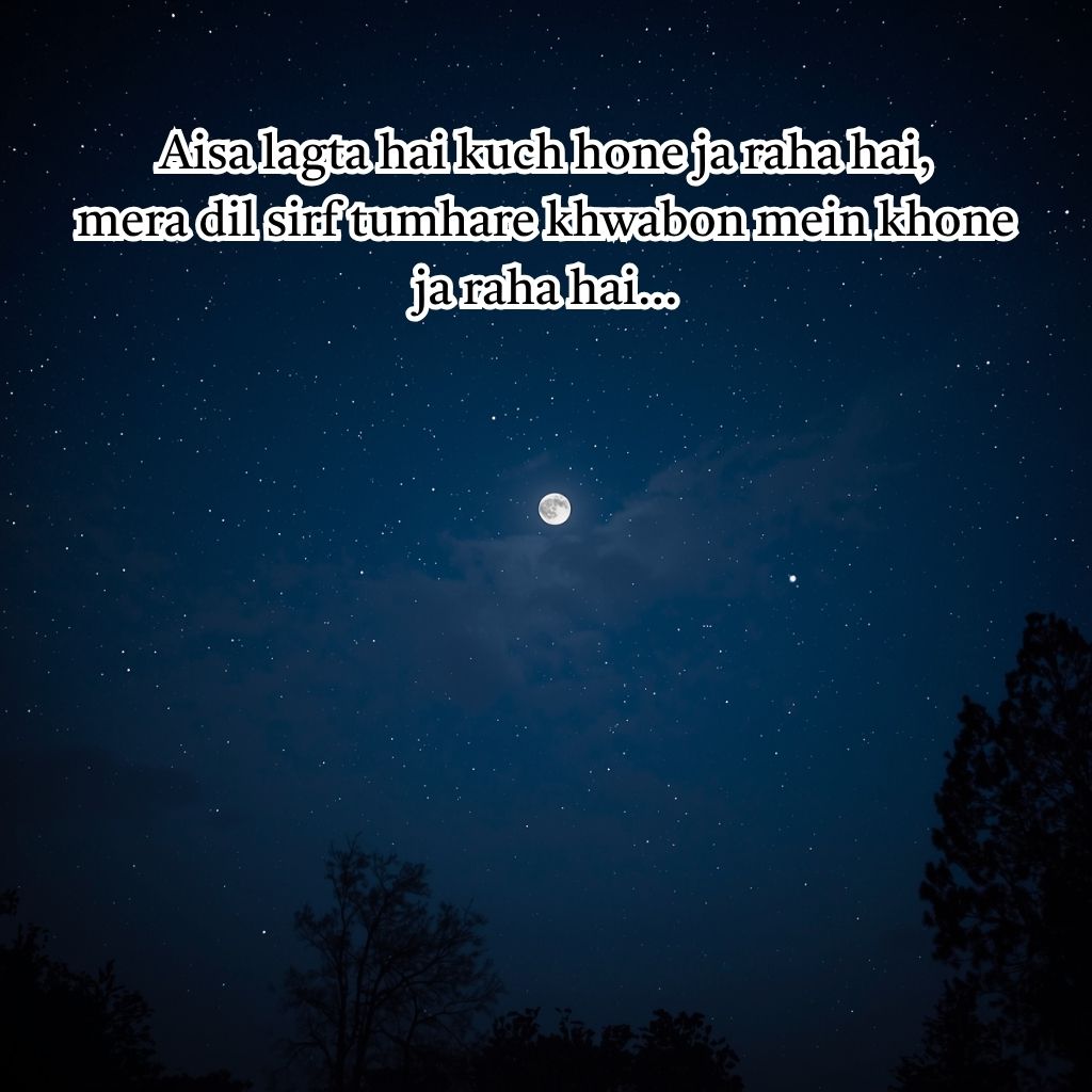 Funny Good Night Shayari